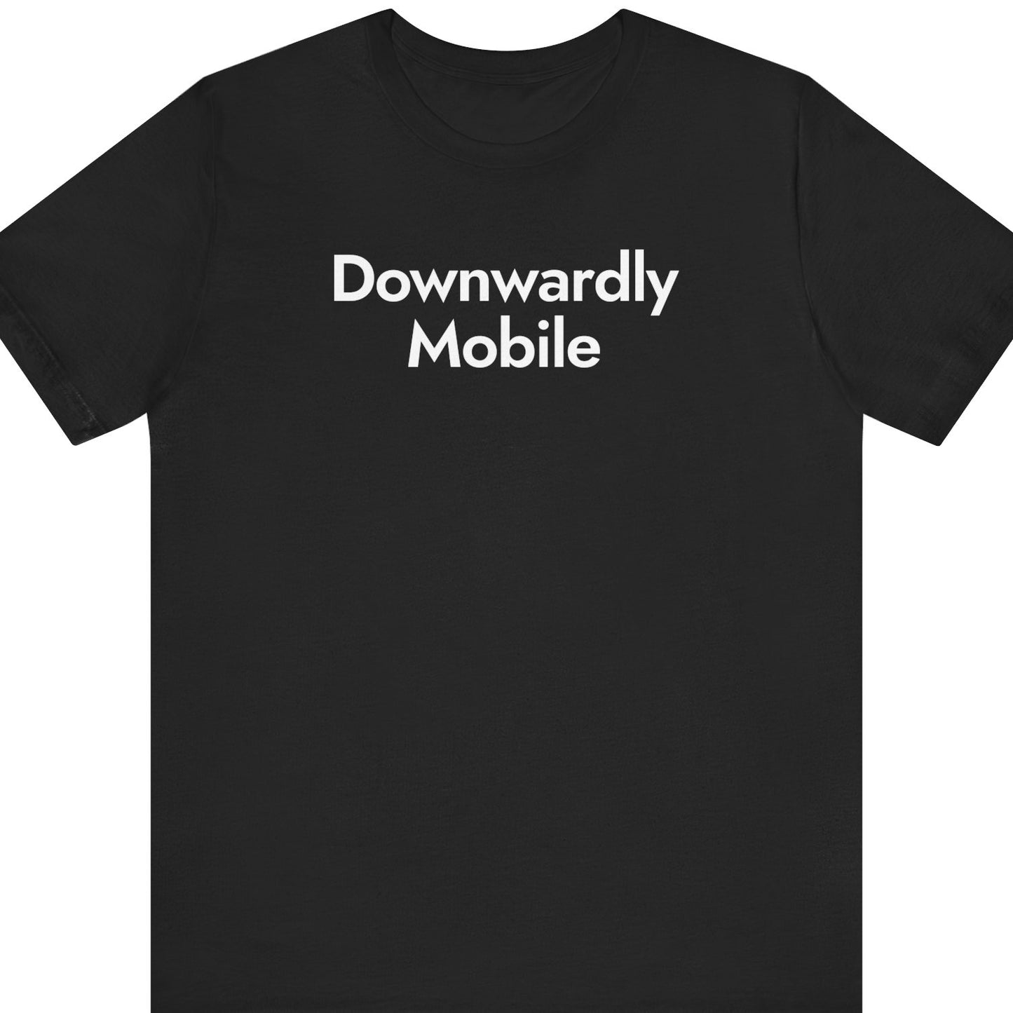 Downwardly Mobile