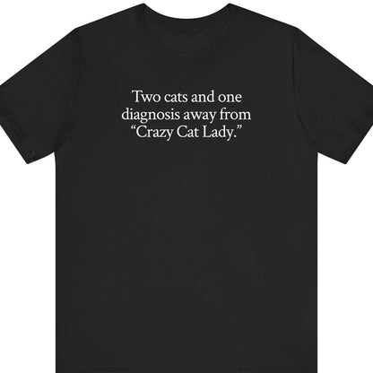 Two cats and one diagnosis away from "Crazy Cat Lady."